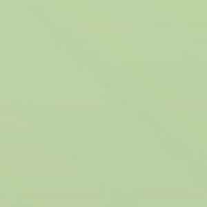 Meet your Posher, Gianna